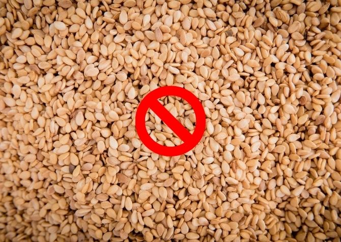 Risk of Sesame Seeds for your Hamsters