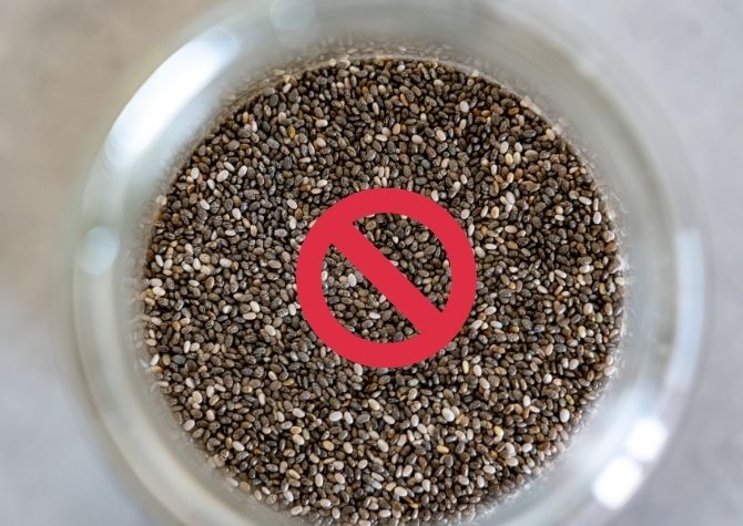 risk of chia seeds for hamsters (1)