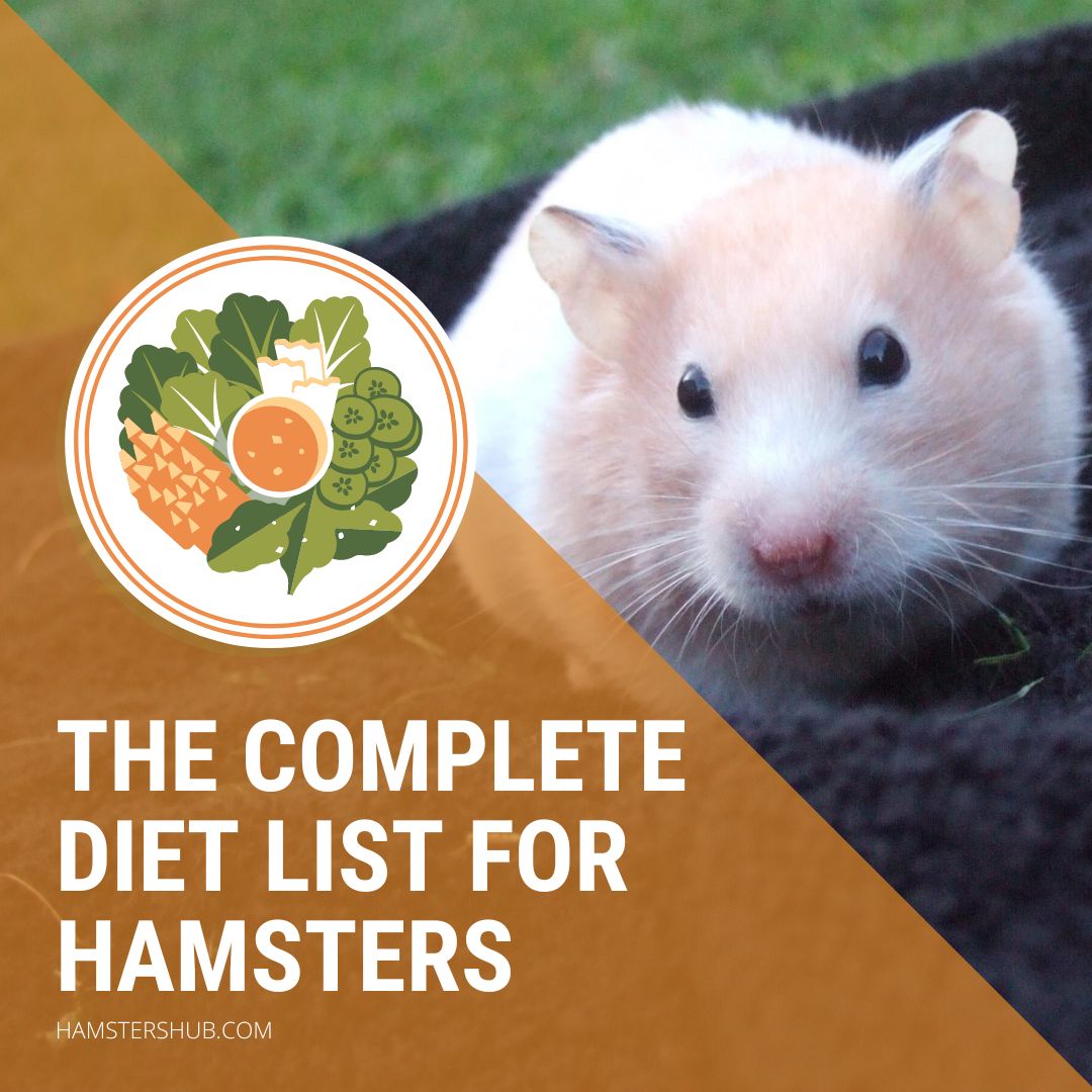The Complete Diet List for Hamsters
