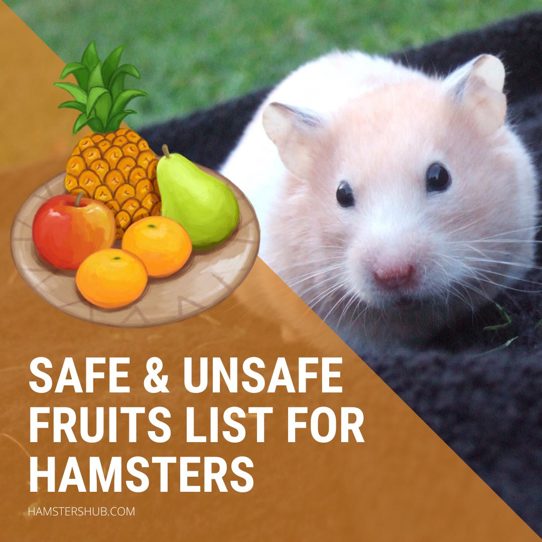 The Complete Fruits List for Hamsters