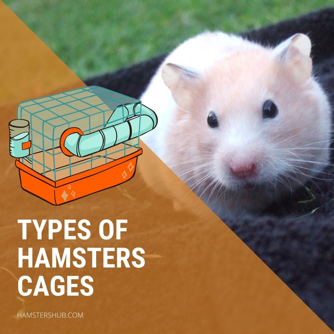 Types of Hamsters Cages